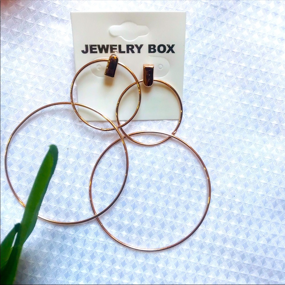 💢Nee Double Hoop Earrings